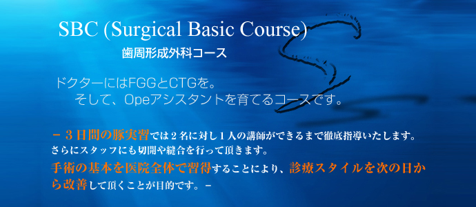 SBC(Surgical Basic Course)
